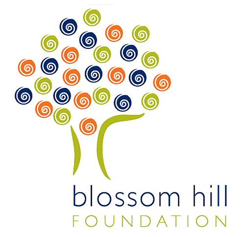 Graphic Design program alumnus Vanesa Merulla develops identity  for The Blossom Hill Foundation, a children in conflict organization